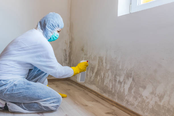 Licensed Crawl Space Mold Removal service in Greenville, GA - WQB Mold Removal