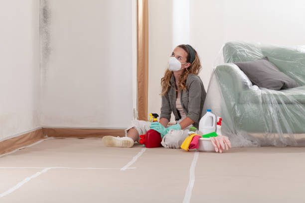 Reliable Crawl Space Mold Removal contractor in Greenville, GA by WQB Mold Removal