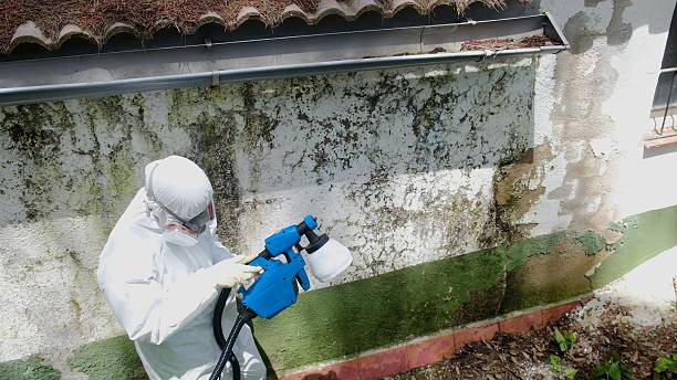 Top rated local Crawl Space Mold Removal specialists in Greenville, GA